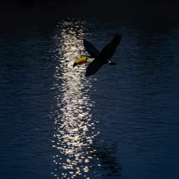 a toucan flying above a wavy reflective lake, reflections, midnight, lake, reflections, dark, mystery, wavy lake, moon light, dark atmosphere
