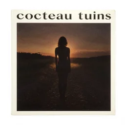 the cover to the new cocteau twins album titled'the hanging fever'
