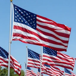 rejected versions of the american flag