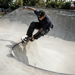 tony hawk pro philosopher