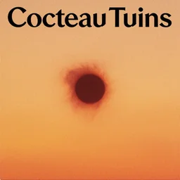 the cover to the new cocteau twins album titled'one large sting'