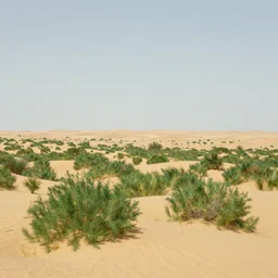 an endless desert landscape with lush vegetation in the style of thomas cole with a single parthenon placed in the middle of the foreground, raytracing, 8 k, octane render, volumetric, vivid, beautiful, hyperrealism