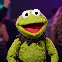 muppet on a rave