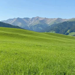 beautiful meadows with a mountain range in the background