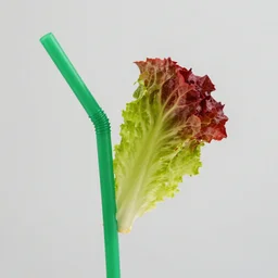 a red head of butter lettuce sticking out the end of a green spiky straw