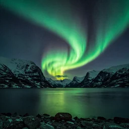 nature and wildlife scene in norway, northern lights, by Caspar David Friedrich