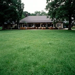 a meadow near a restaurant accidentally photographed, accidental photo portra 8 0 0 in the 9 0 s