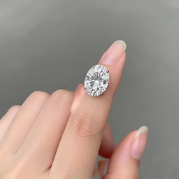 the diamond middle finger