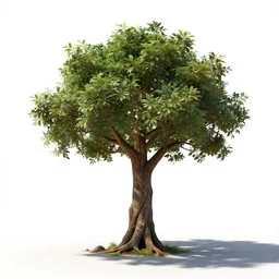 noble ent tree guardian, studio photography, full body, standing, isolated on a pure white background, centered, whole figure in frame, sharp focus, studio lighting