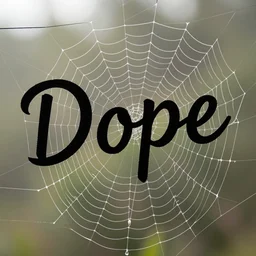 A spiderweb with the word Dope weaved into it