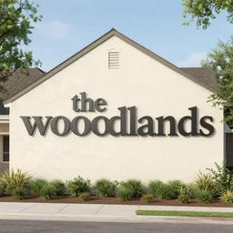 “the woodlands Texas”