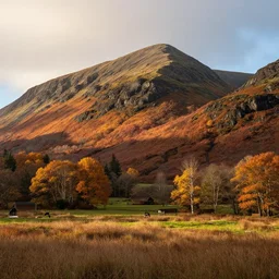 autumn light in glenn affric