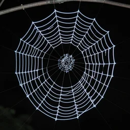 a ultra realistic hyper realistic underexposed fujifilm 800 photograph of an intricate neon spider web