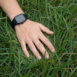 touch grass