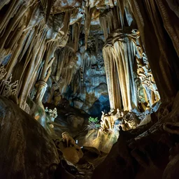 a lush cavern, light leaking in, by albert dros