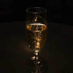complete darkness. backlit champagne glass. barely visible. one small golden light source. raw. f 1 1. 6 0 seconds