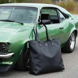 bagmonkey on a green 1 9 7 6 camaro, photo, detailed, 4 k