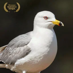 a seagull with the face of steven seagal