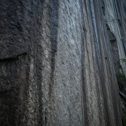 humid granite cliff face
