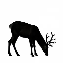 black deer bending silhouette on white background