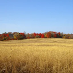 a dry flat land of pastures and farms! with yellow!!! and brown!!! grass, autumn!!!, blue sky, red colors, medieval era, by asher brown durand and chesley bonestell