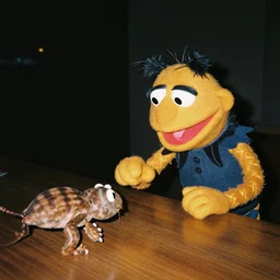 disposable camera Photography of a demonic Muppet hunting its prey