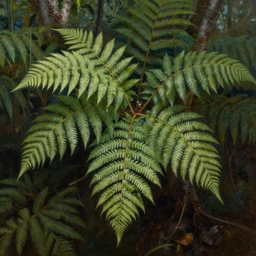 painting of ferns by Vladimir kush