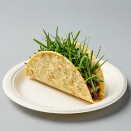 a taco full of grass on a paper plate, studio lighting, professional photo