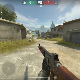 screenshot from popular FPS game