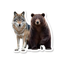 wolf and bear vinyl sticker, white background