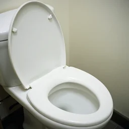 oval office toilet overflowing with water, nikon d 8 1 0 | iso 6 4 | focal length 2 0 mm ( voigtlander 2 0 mm f 3. 5 ) | aperture f / 9 | exposure time 1 / 4 0 sec ( dri )