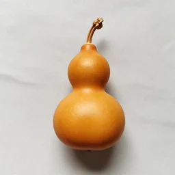 groud amber heard made out of a gourd as a gourd