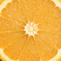orange organic texture