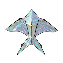 holographic kite, clean 3d render, octane render, isolated on a pure white background, centered, entire object in frame, sharp focus, soft studio lighting